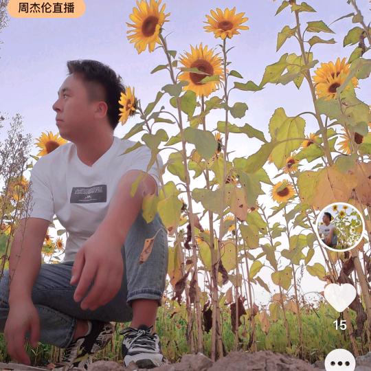 甘L
