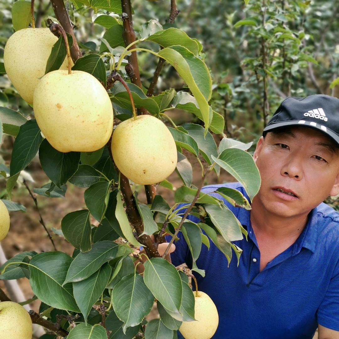 洪阁诚信苗圃