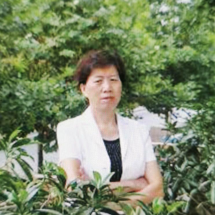 迎春（手机摄影）