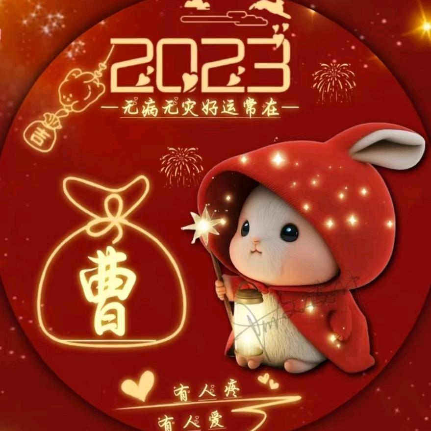 聪明滴傻孩子