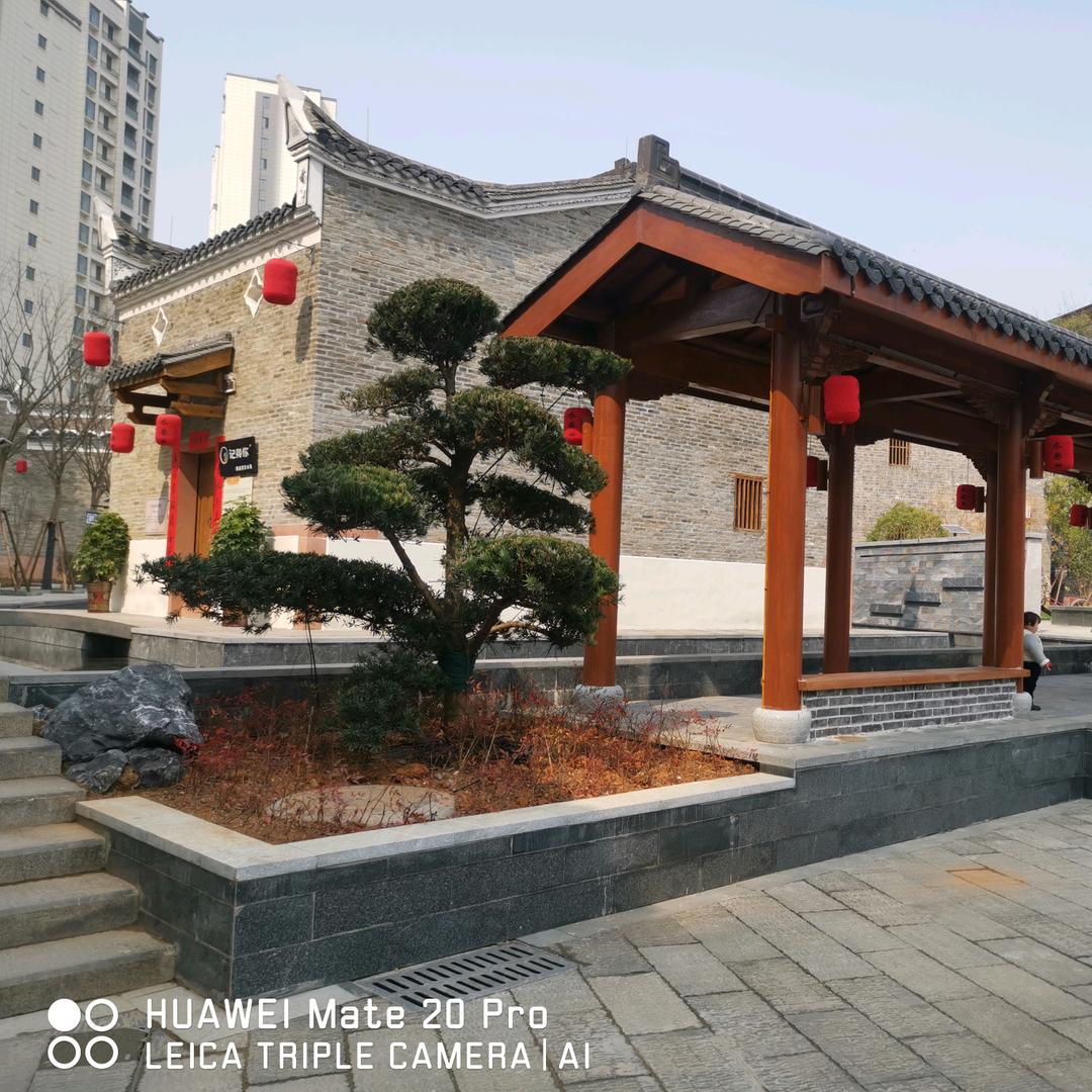 快乐的小老头