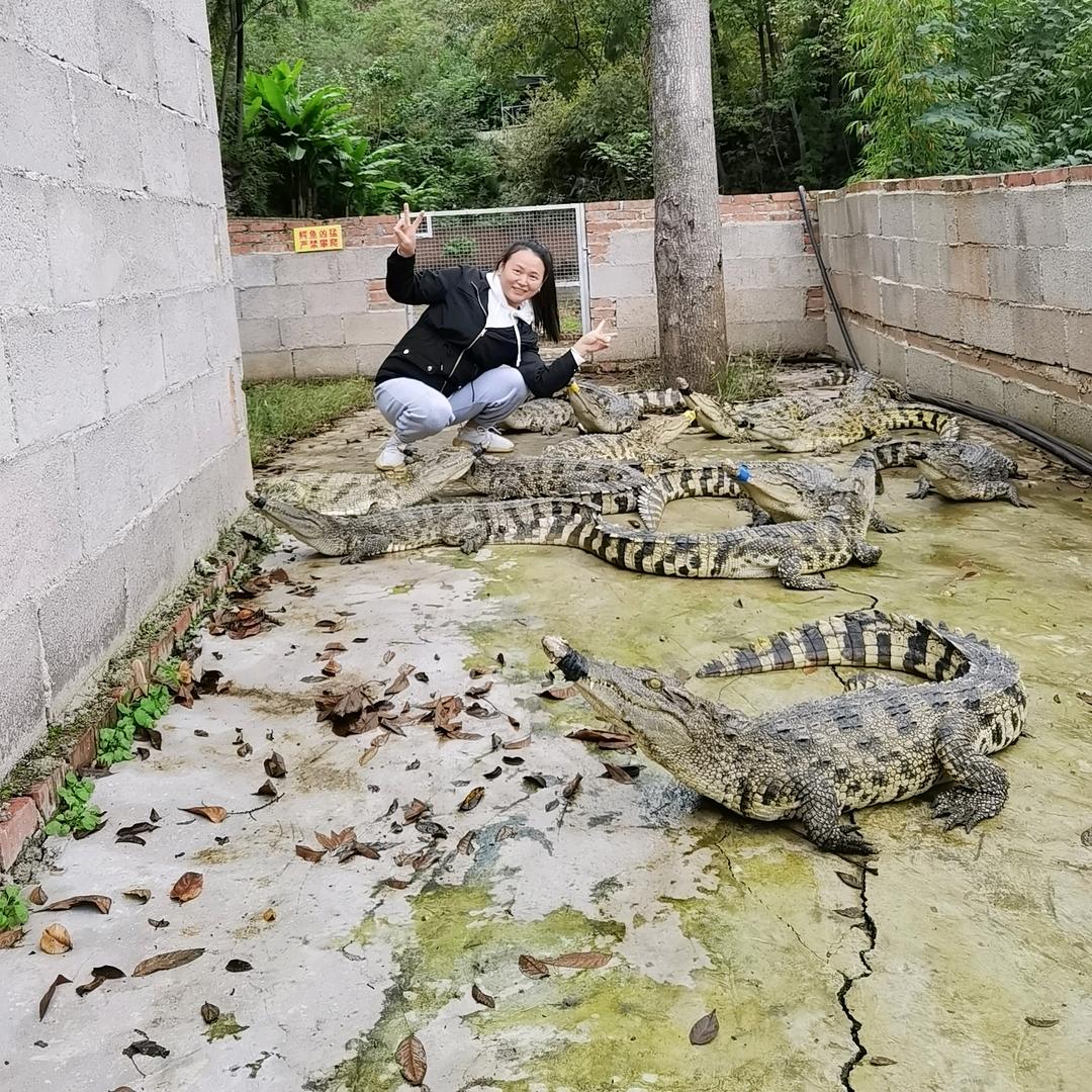鄂渝恋首播筹备