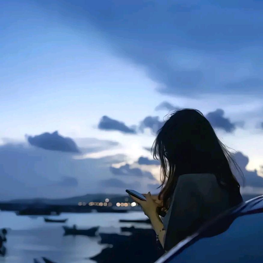 海豚已换号