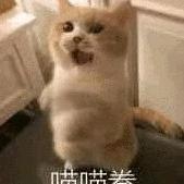 逝去的青春1984