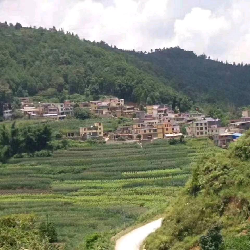 因为痛才叫青春