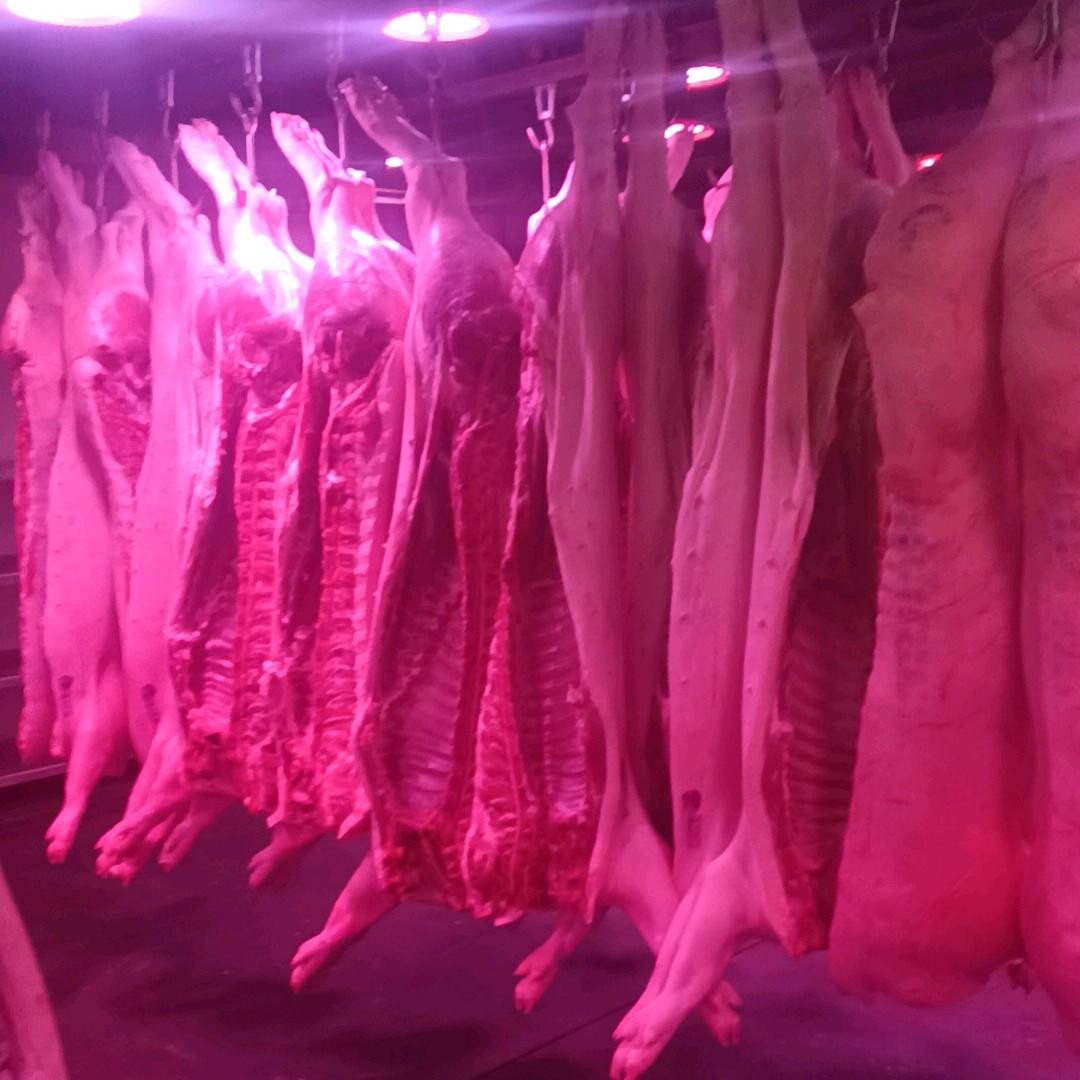 @阿牛哥《打工仔挣钱》