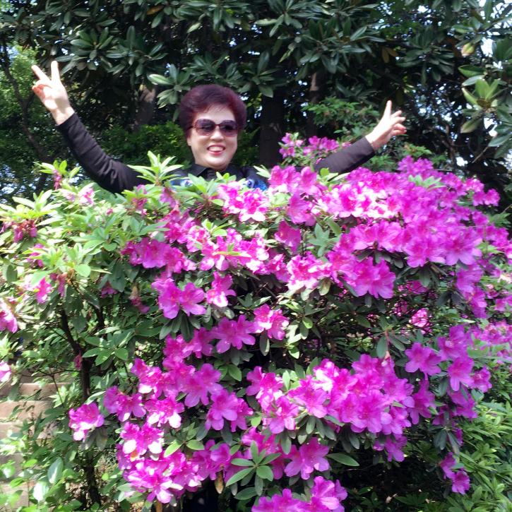 💎花开富贵💎