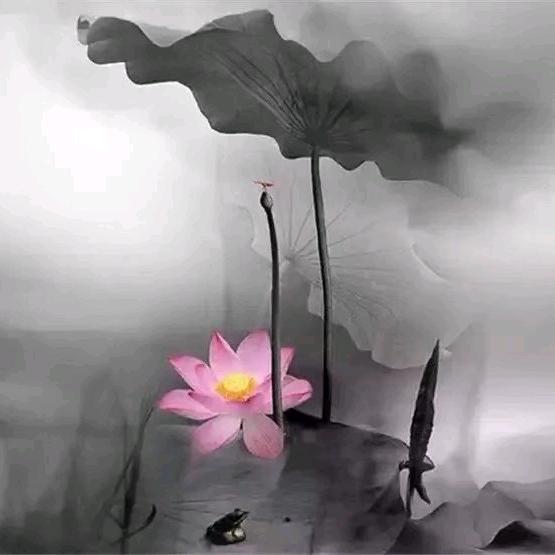 春风化雨yu