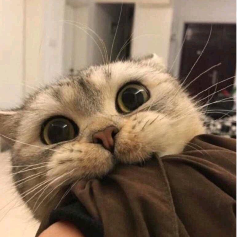 🌈幸运。
