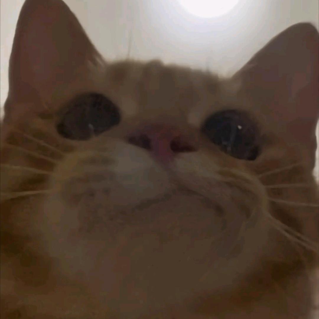 蒋