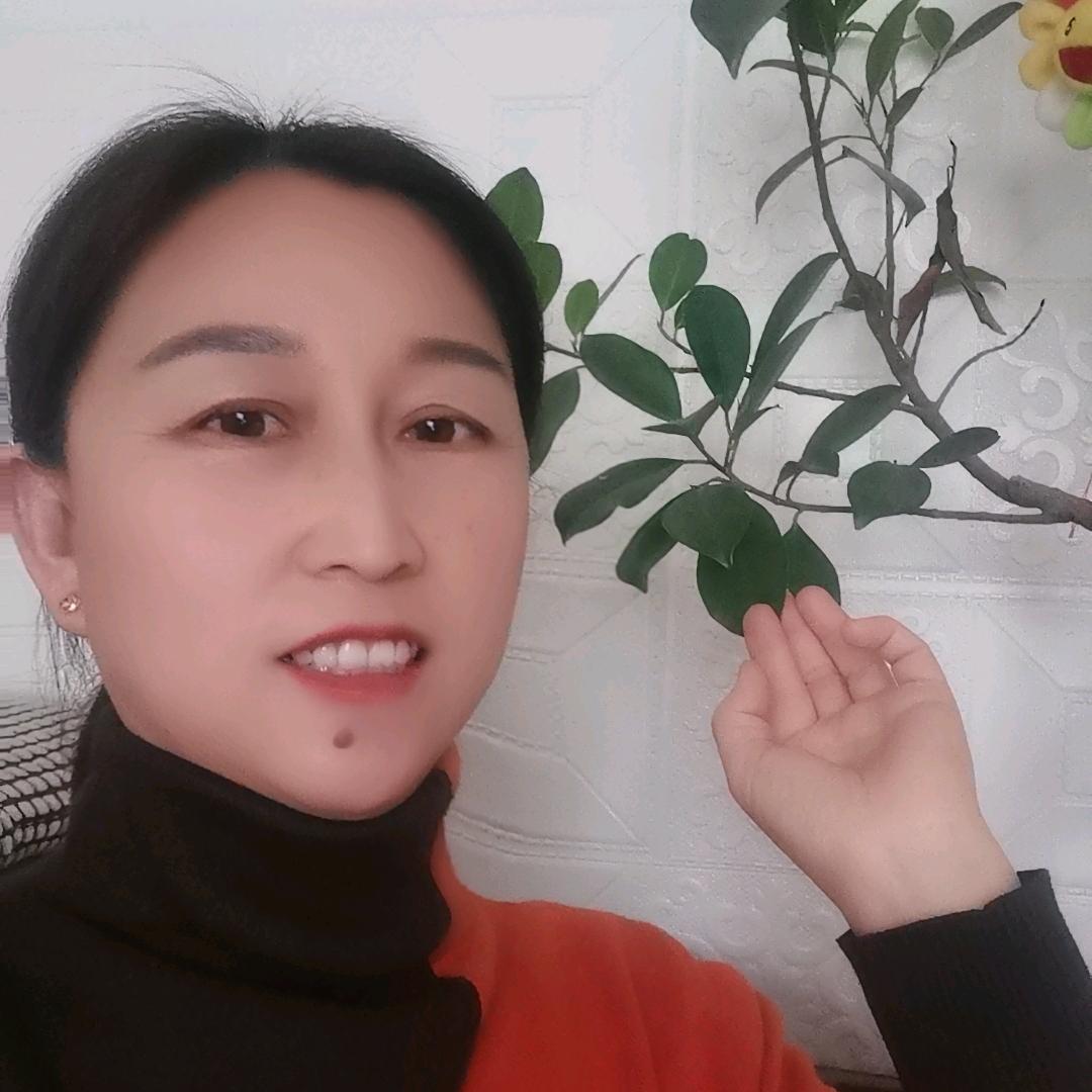 莹莹一笑