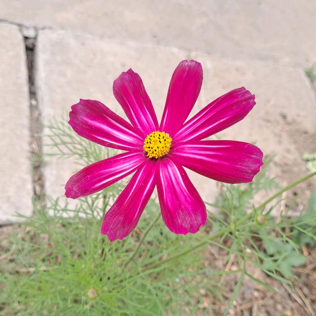 🍀人间清醒🍀