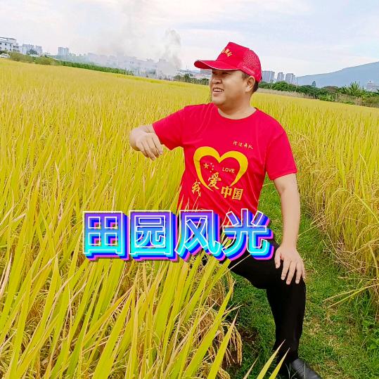 涛 哥