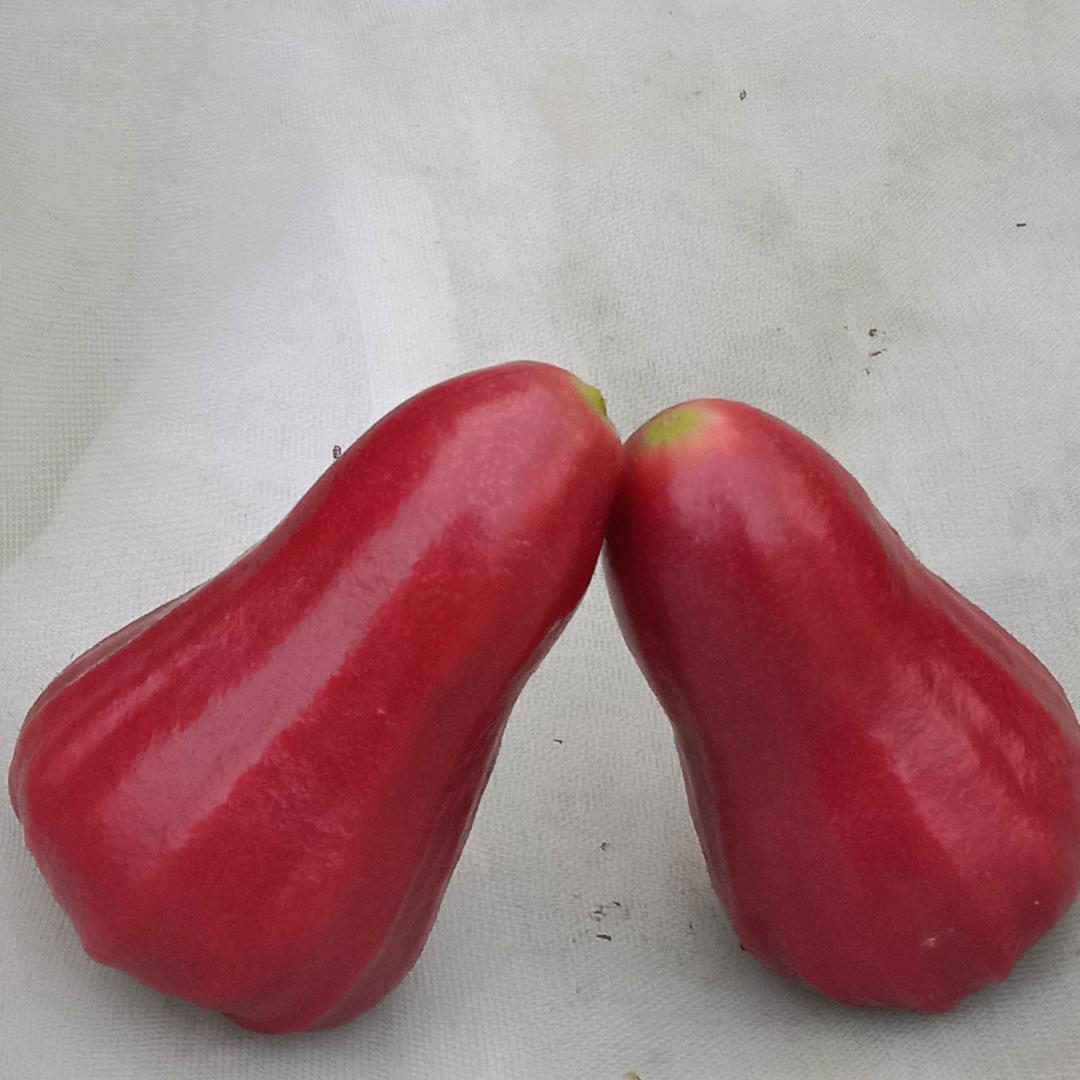 鑫鑫