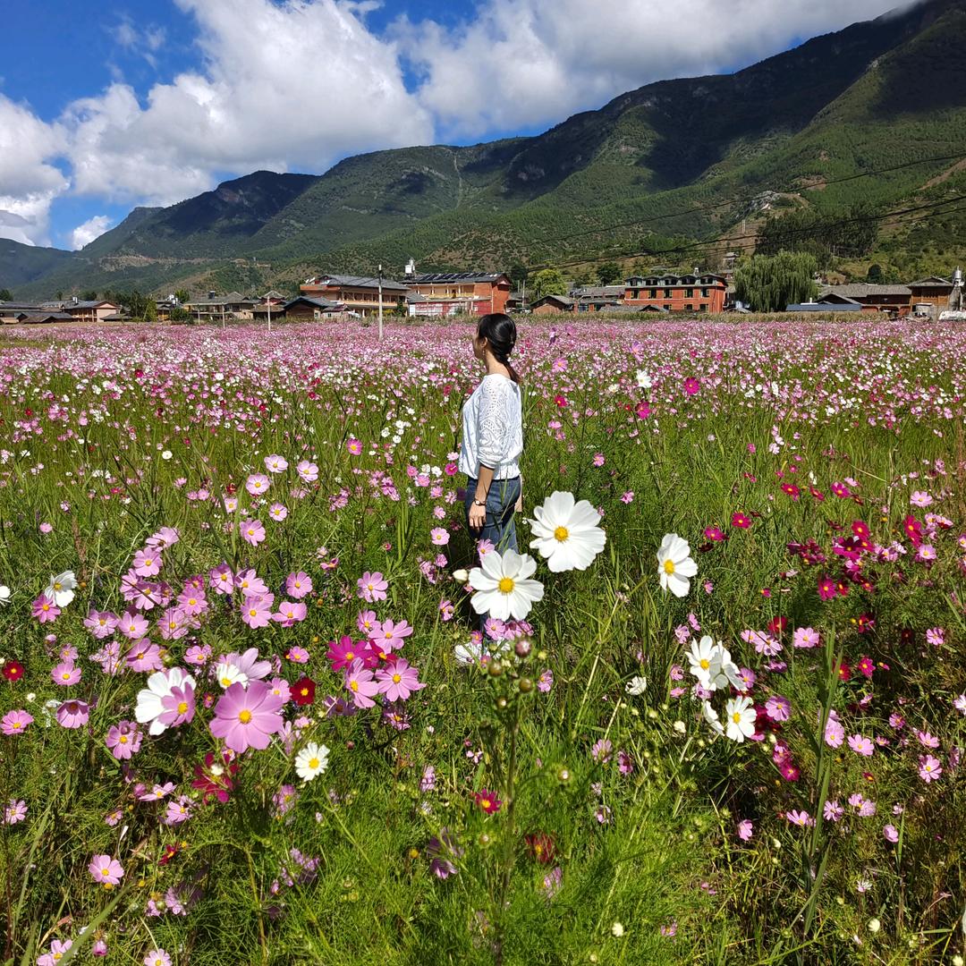 蓉儿🌸