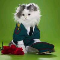 花猫聊影视