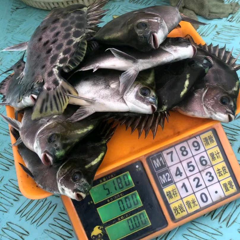粤西生猛海鲜老陈