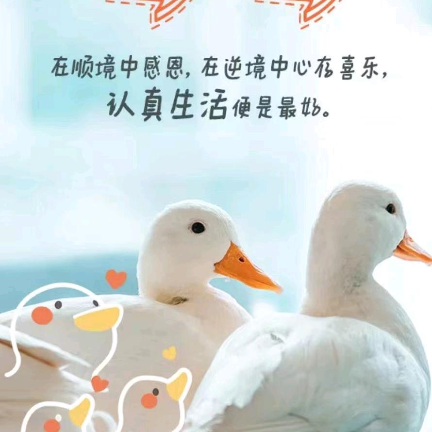 远方的人