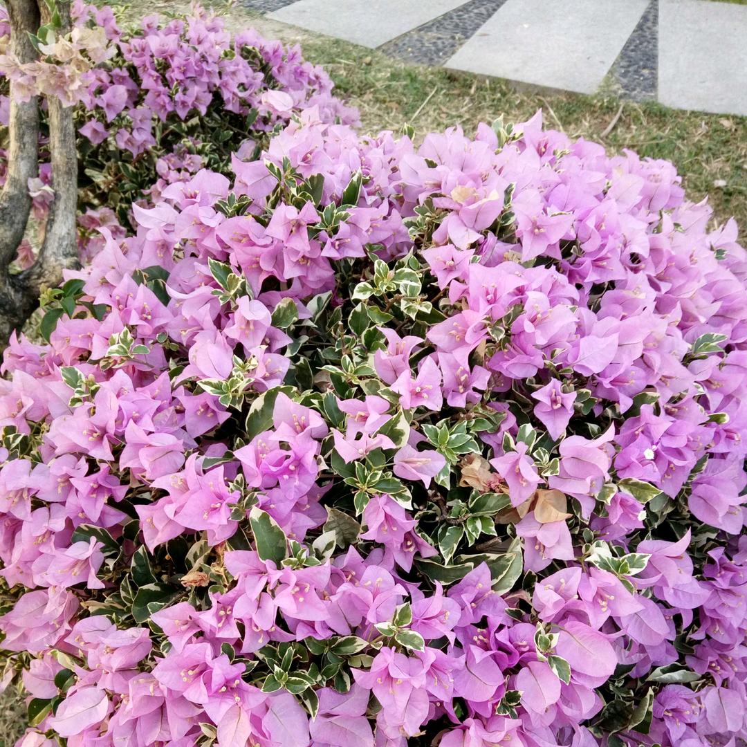 用户5065378887876心随我意