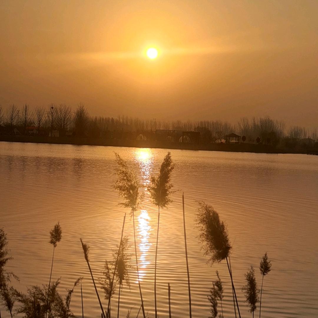 小芹布艺做衣服