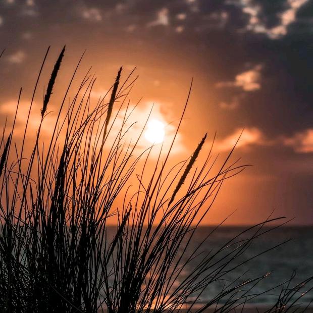 选择性“耳背”