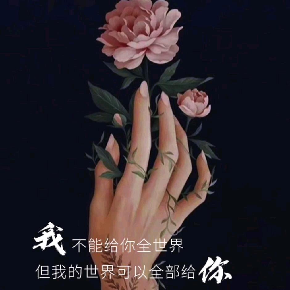 独守芳华(北金)