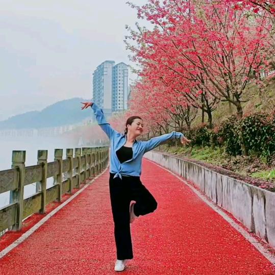 燕子姐姐