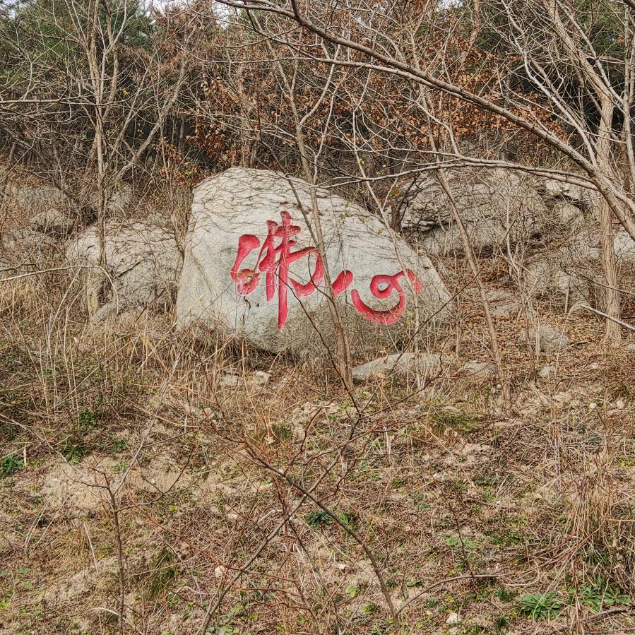傅 姐   在 固 始
