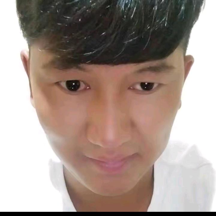 木总