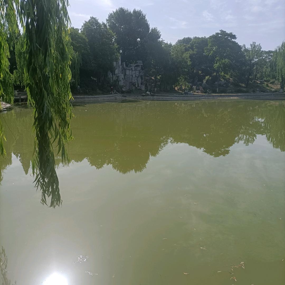逍遥游