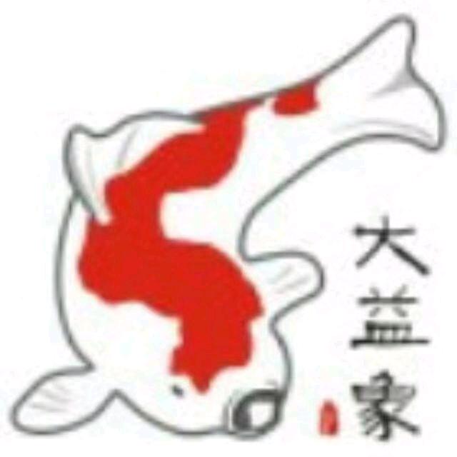 大益象锦鲤（若鲤号）