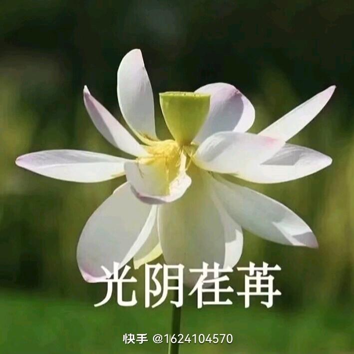 胡辣汤