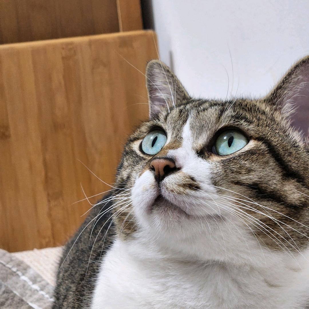 王大~