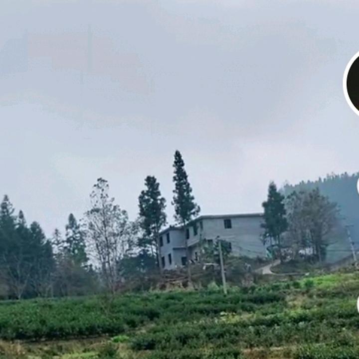 四海为家。