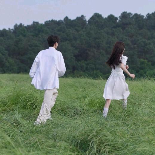 小宋喜欢Wang先生