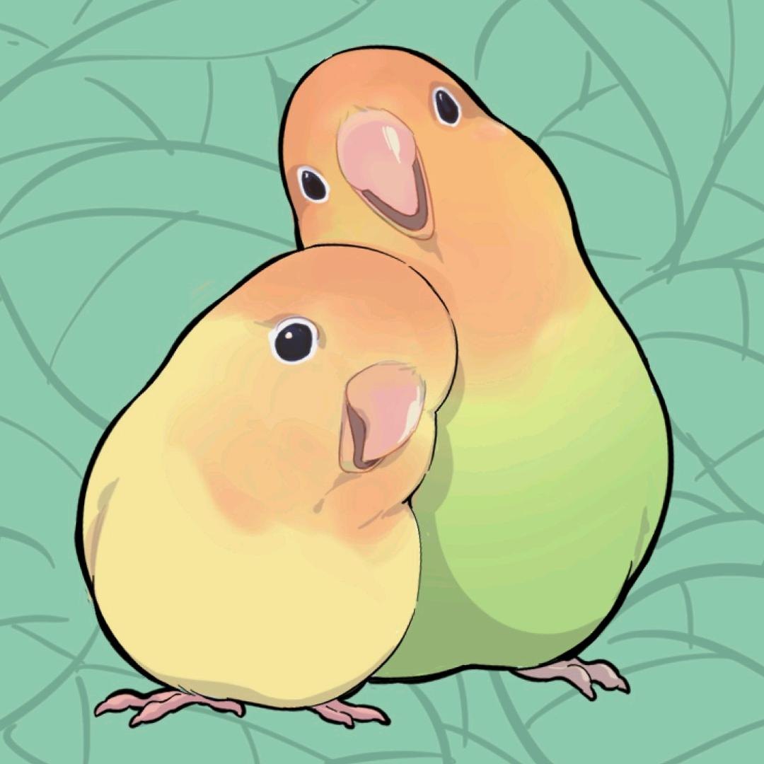 Parrot芒果茶