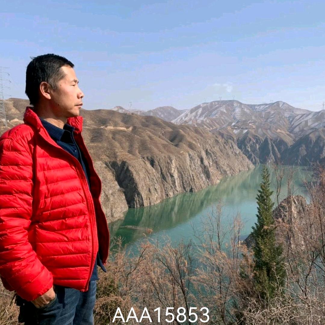 静观
