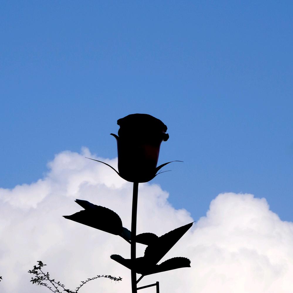 今天天气刚刚好