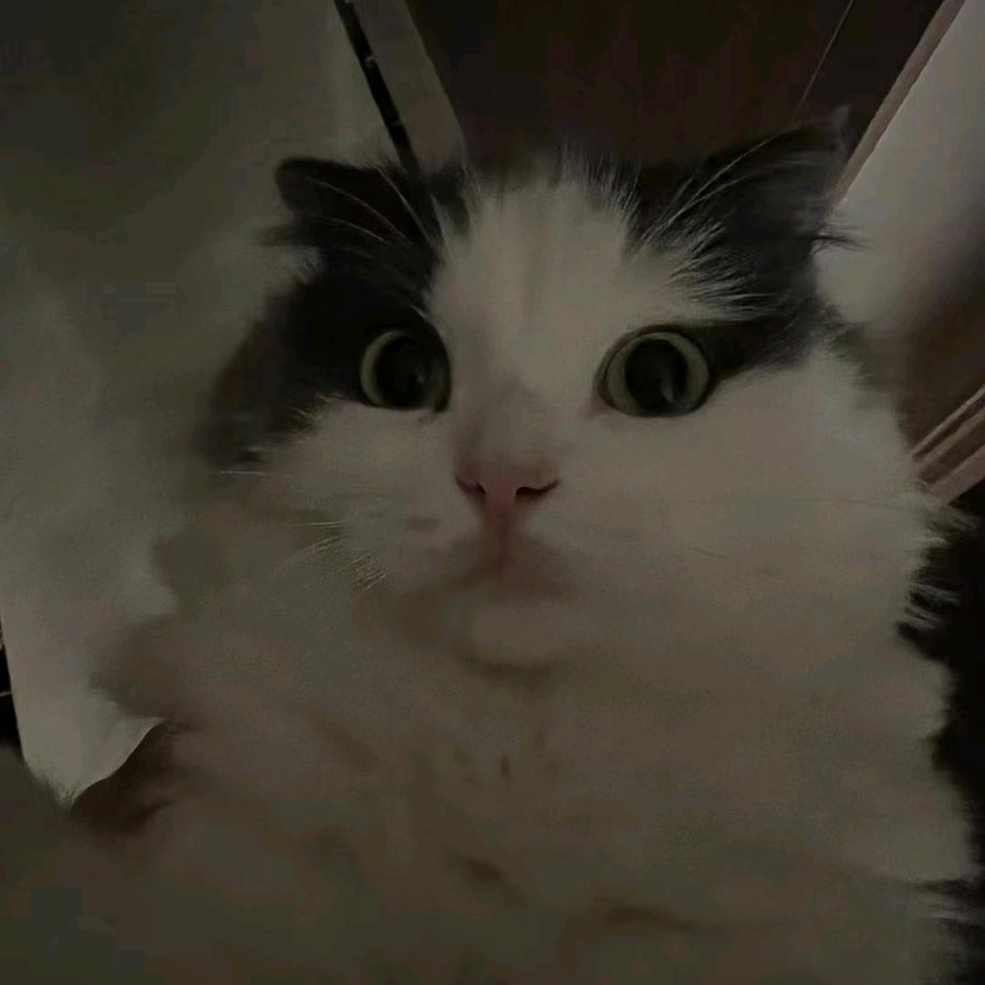 9779