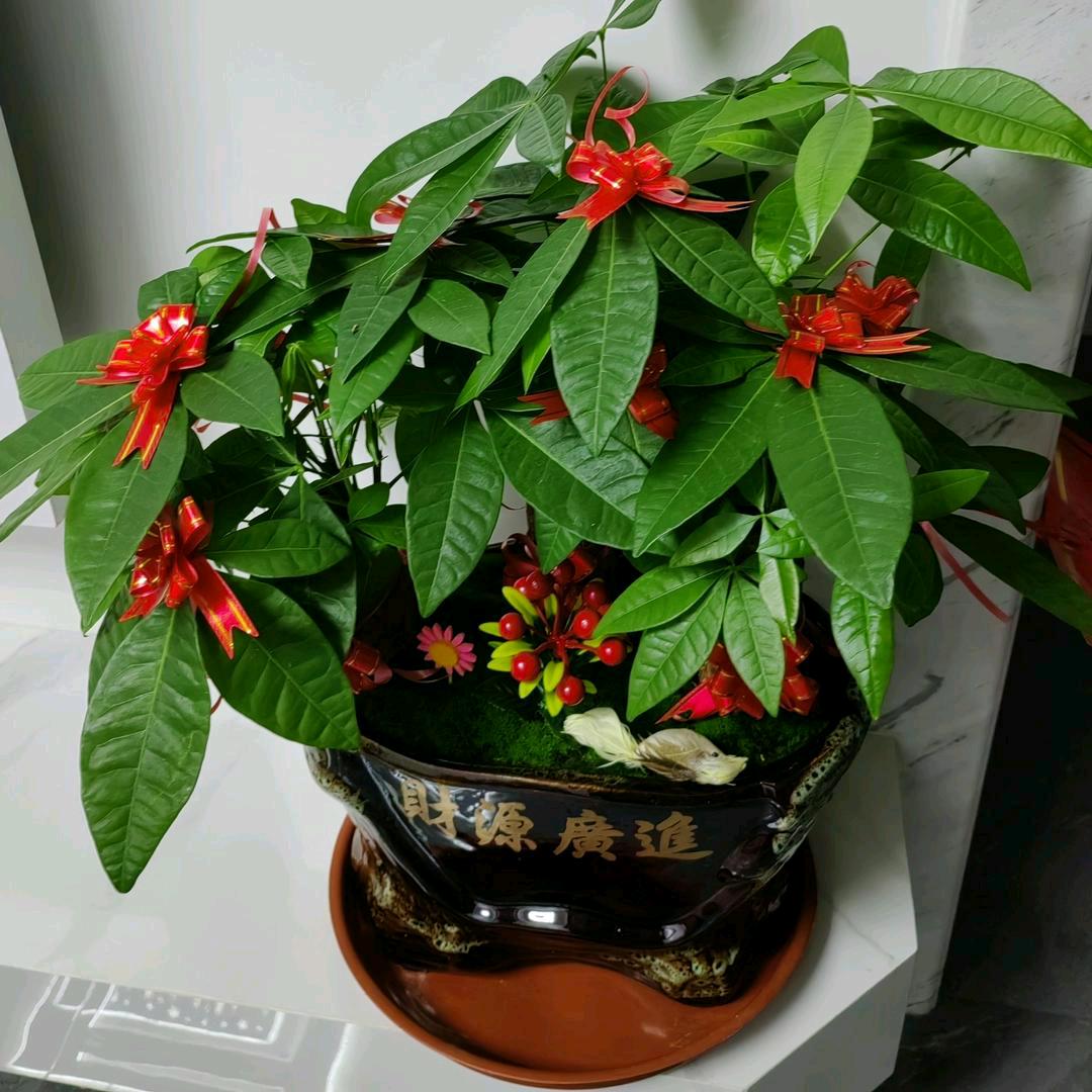 小真