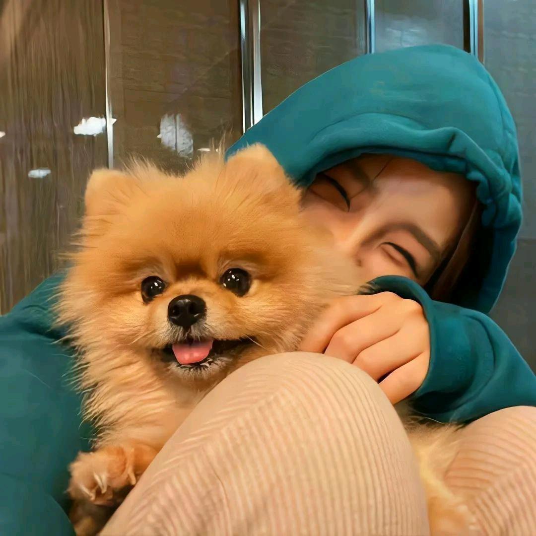 钞票最多张女士