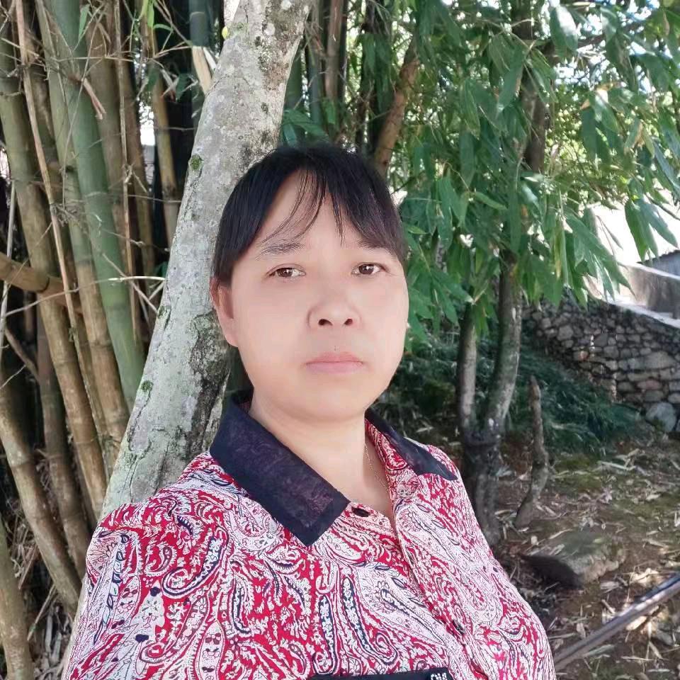 吴姐手工布鞋