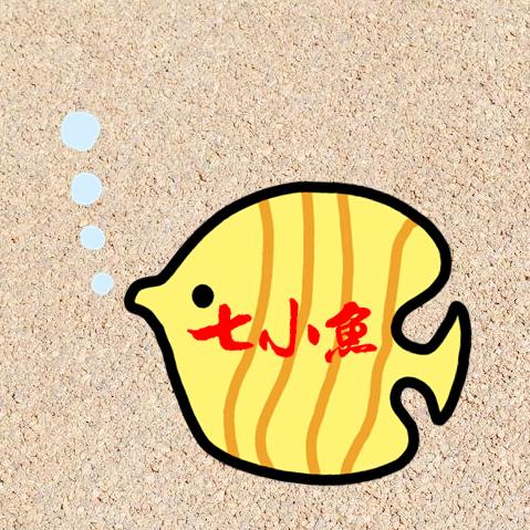 七小鱼游戏解说