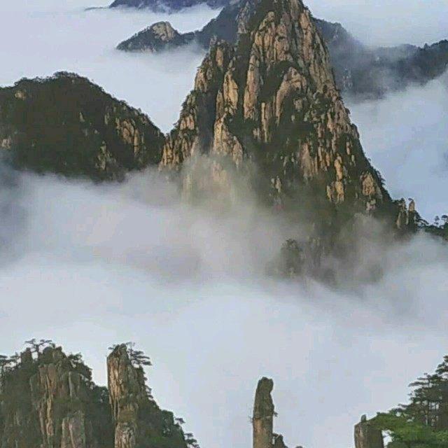 用户92266544