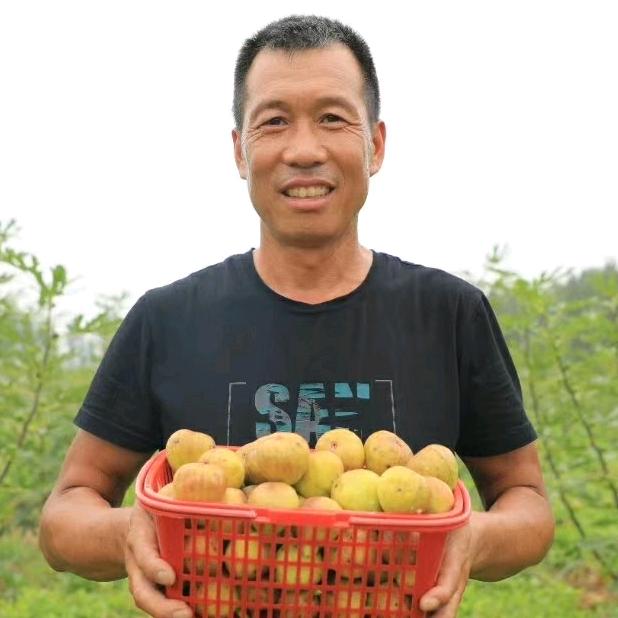 白向丽（记录农村生活）