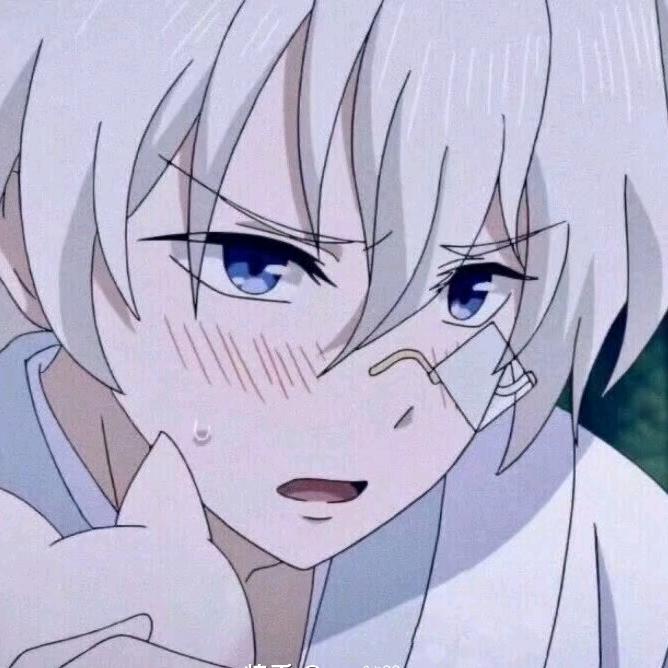 舟舟