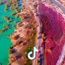 见不到影儿240576512