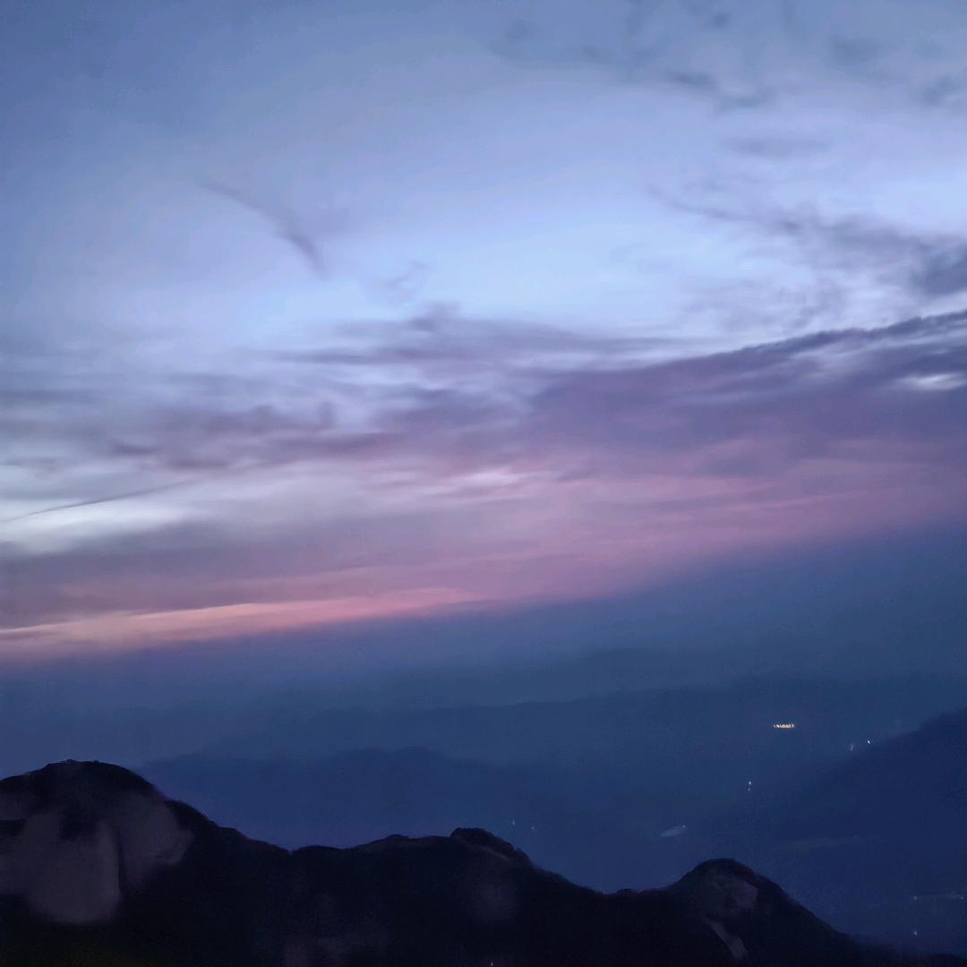 😀张鱼小丸子😁