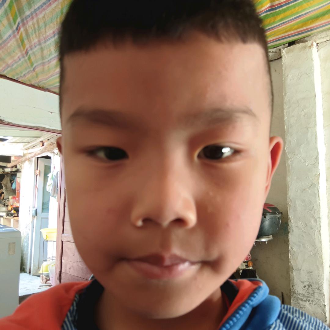 刘明琴