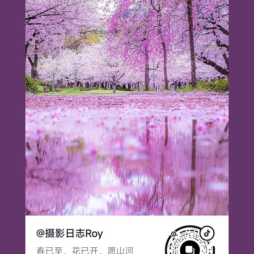自由蒲公英